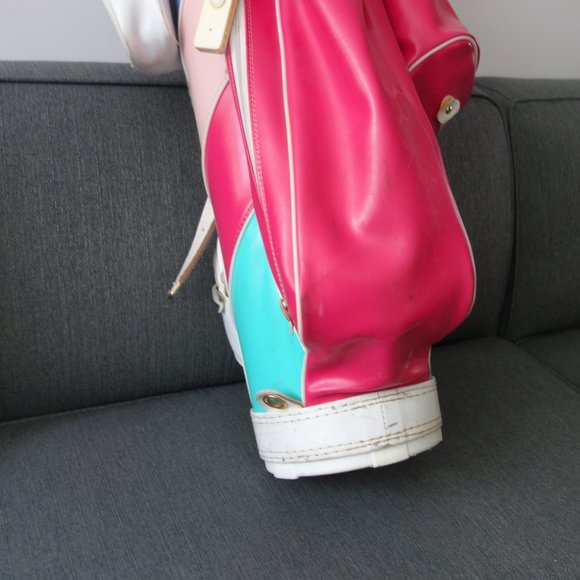 Super Cute Pink White and Blue Golf Bag with Makeup Purse Side Pouch - Picture 2 of 16